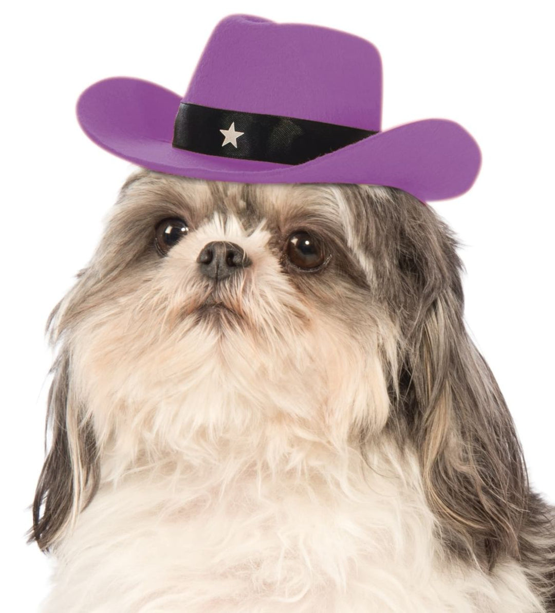 Cowboy Hat - Purple