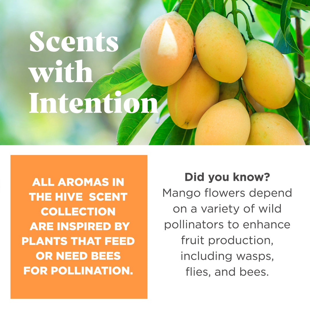 Project Hive Large Hive Sweet Mango