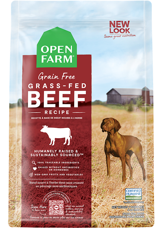 Grass Fed Beef Grain Free Dog Food Baxter Bailey Company