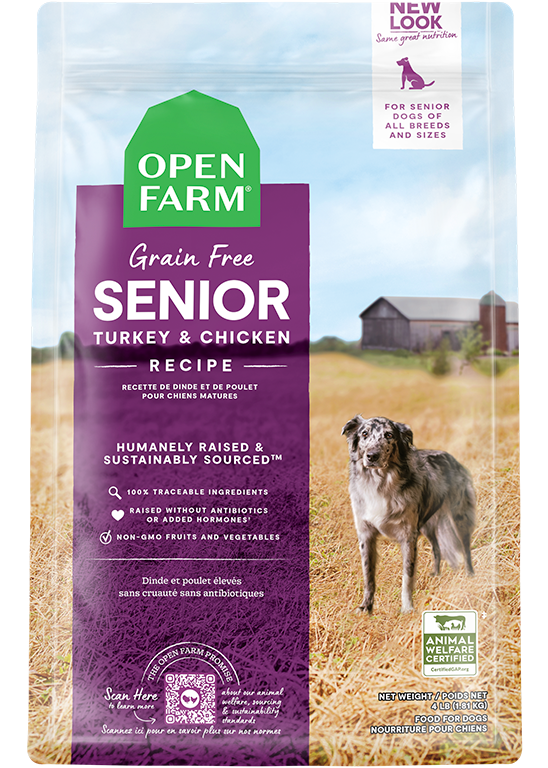 Senior Recipe Grain Free Dog Food