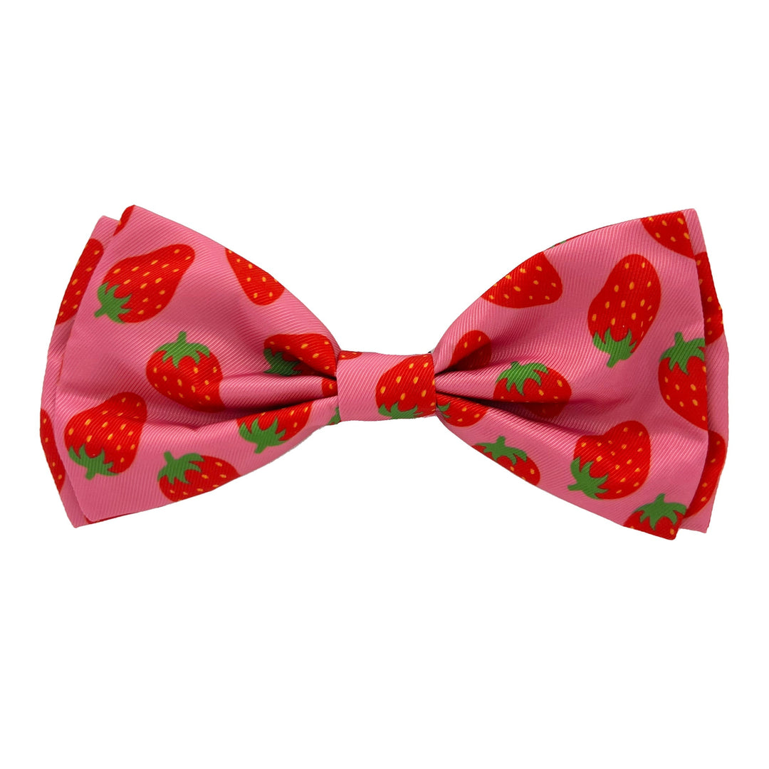 DISC-Strawberries Bow Tie