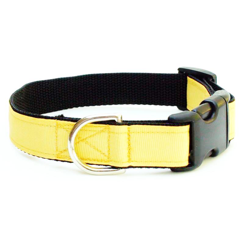 baxter dog collars