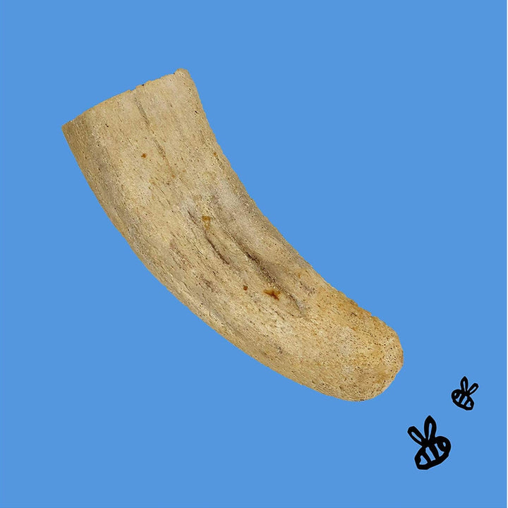 Buffalo Horn Core Chew