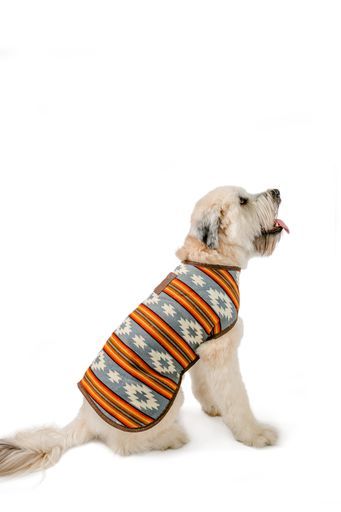 Denim Sunset Dog Blanket Coat