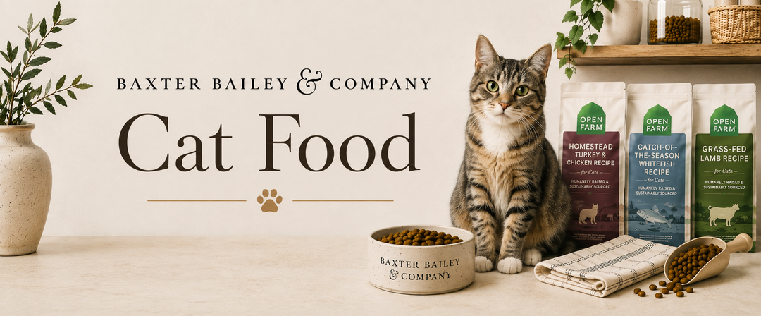 Cat Food