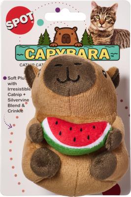Capybara w/ Watermelon 4 in
