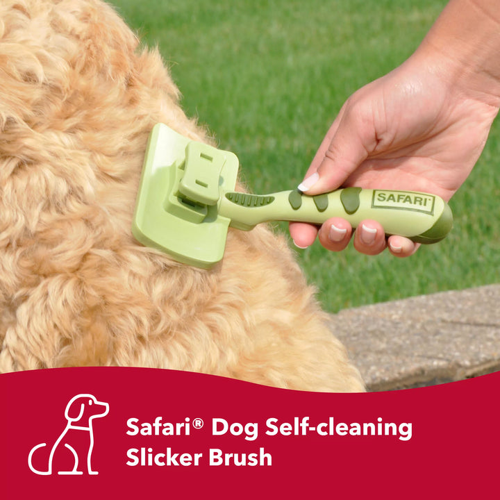 Safari Self-Cleaning Dog Slicker MED w/Stainless Steel Pins