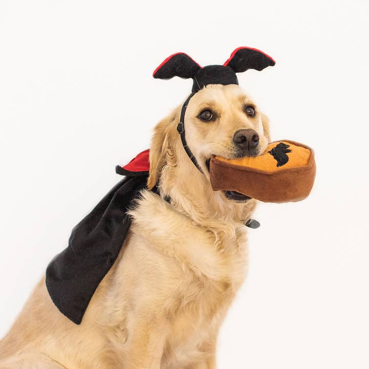 Dracula Dog Costume & Toy Set