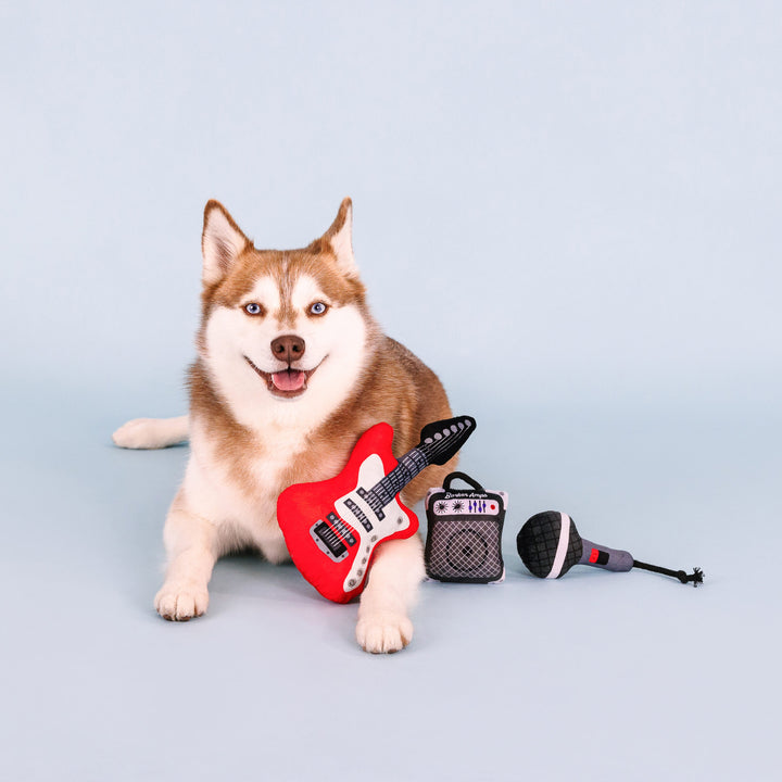 DISC-Ready To Rock-3PC Dog Toy Set