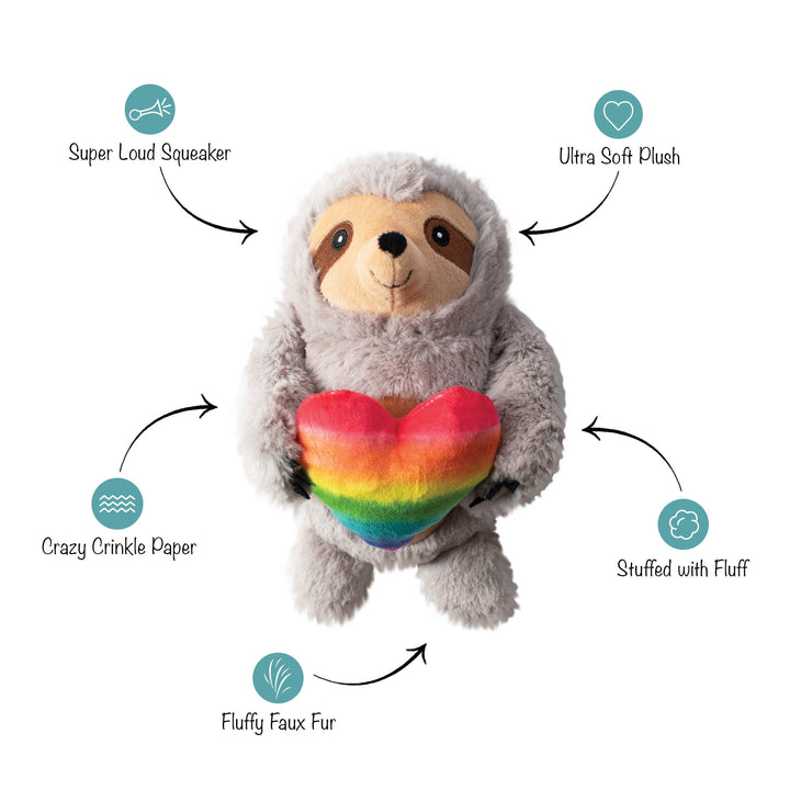 Follow Your Rainbow Dog Toy