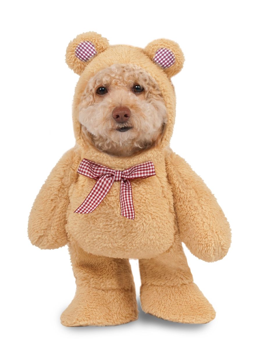 Walking Teddy Bear Costume