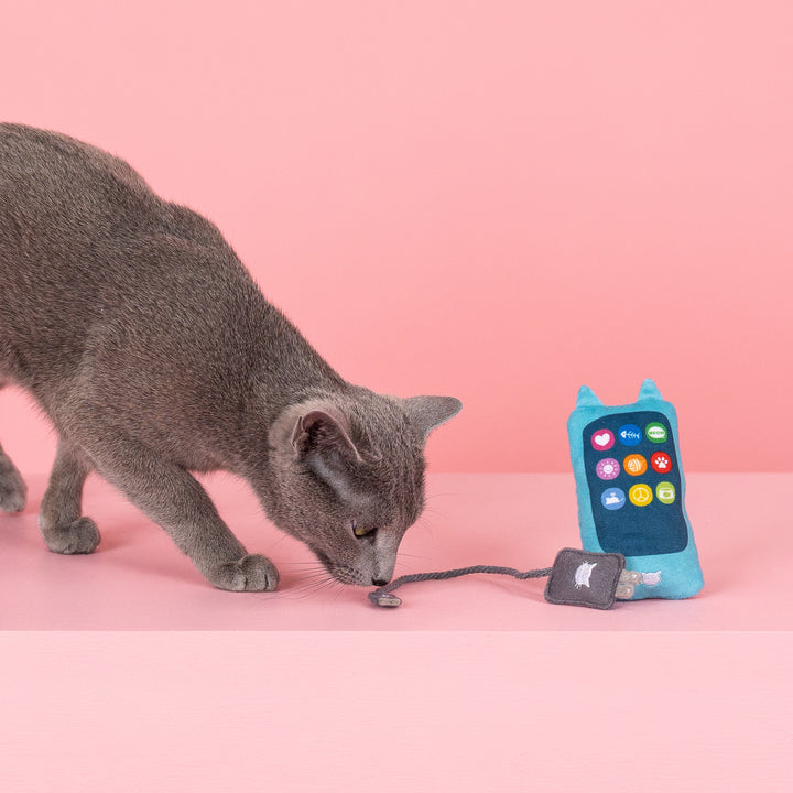 Cat Toy-Charged Up