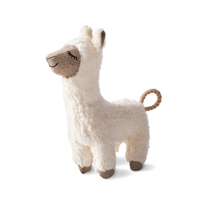Earth Friendly Fleeced To Meet You Dog Toy
