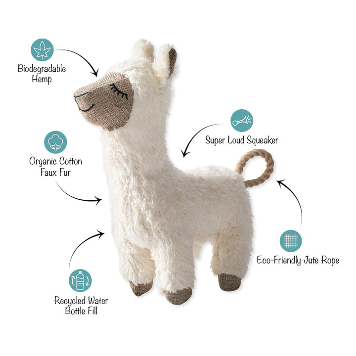 Earth Friendly Fleeced To Meet You Dog Toy