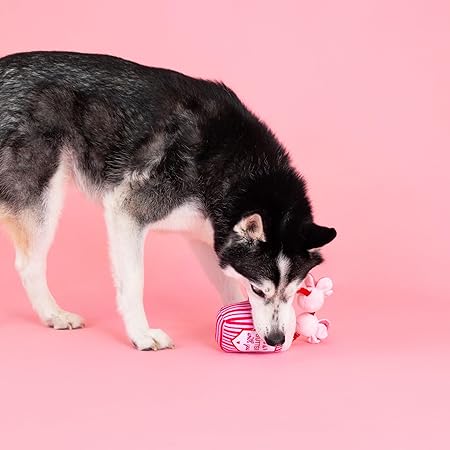 My Heart Pops For You Dog Toy