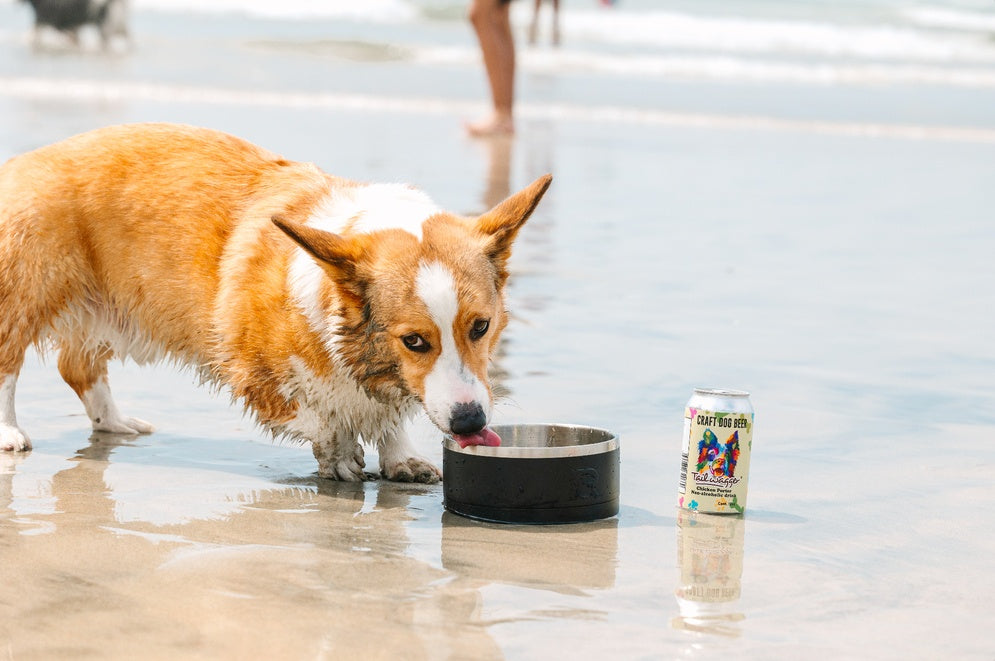 Tailwagger Dog Beer-Chicken Porter