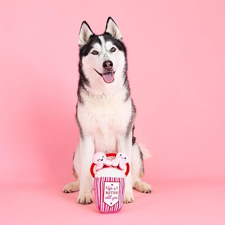 My Heart Pops For You Dog Toy