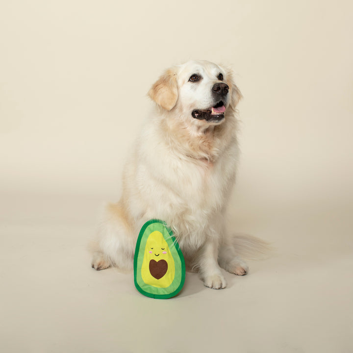 Avocado Durable Dog Toy