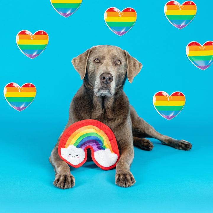 Love Wins Plush Dog Toy