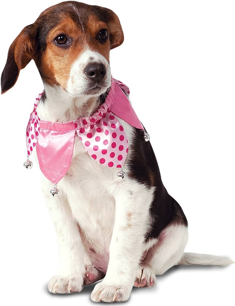 Pink Jesters Collar