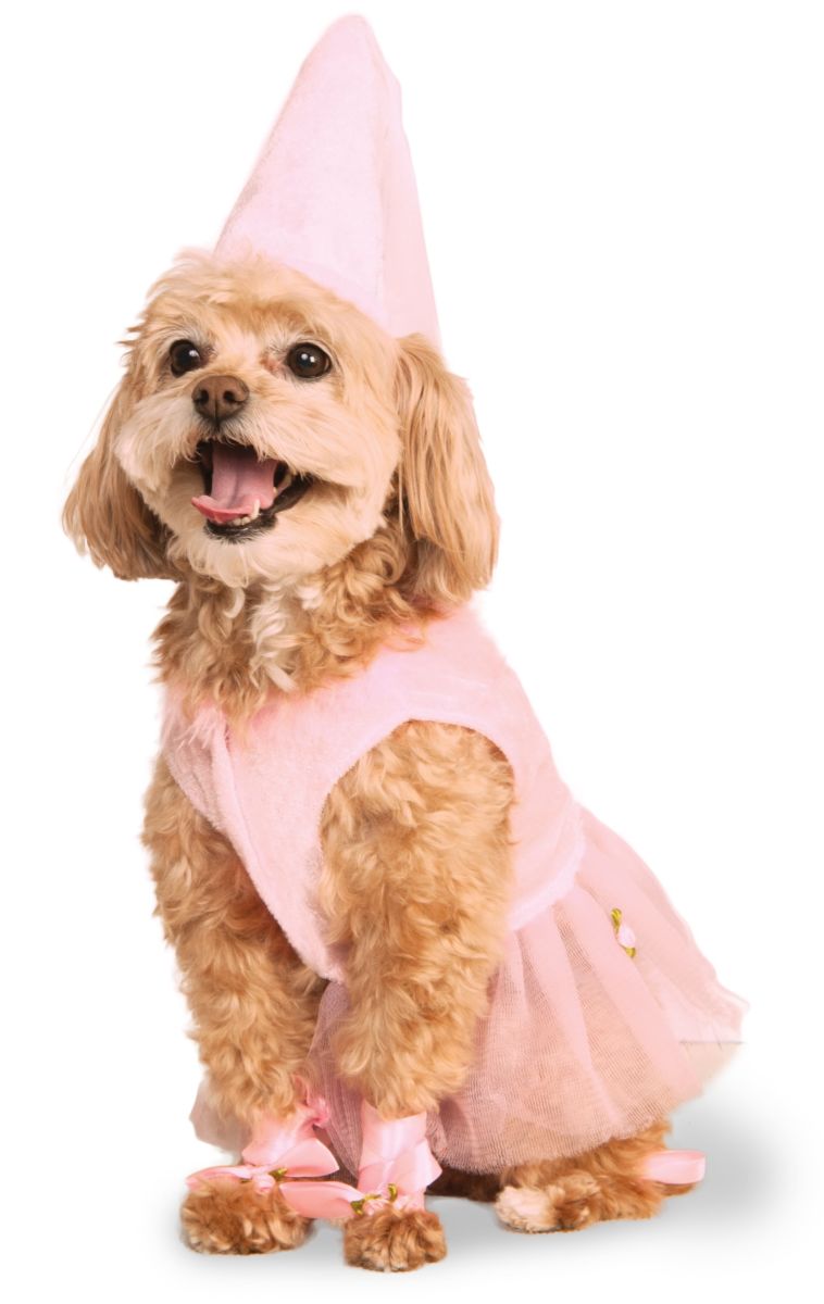 Pink Princess Pup Costume