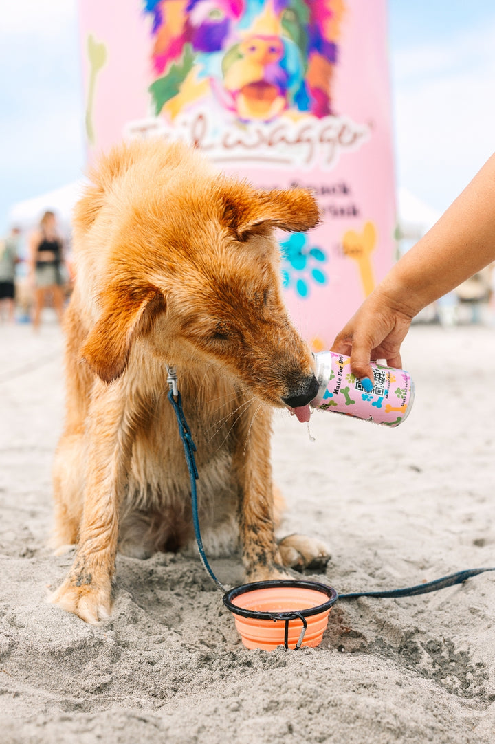 Tailwagger Dog Beer-Beefy Brown Ale