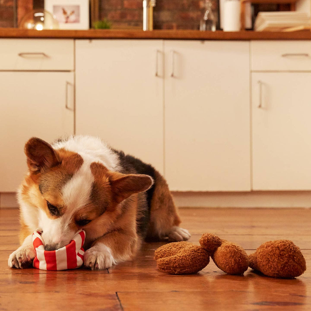 BARK-Bucket O' Fried Licken Chicken Toy