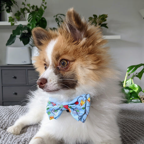 Cocktail Party Bow Tie