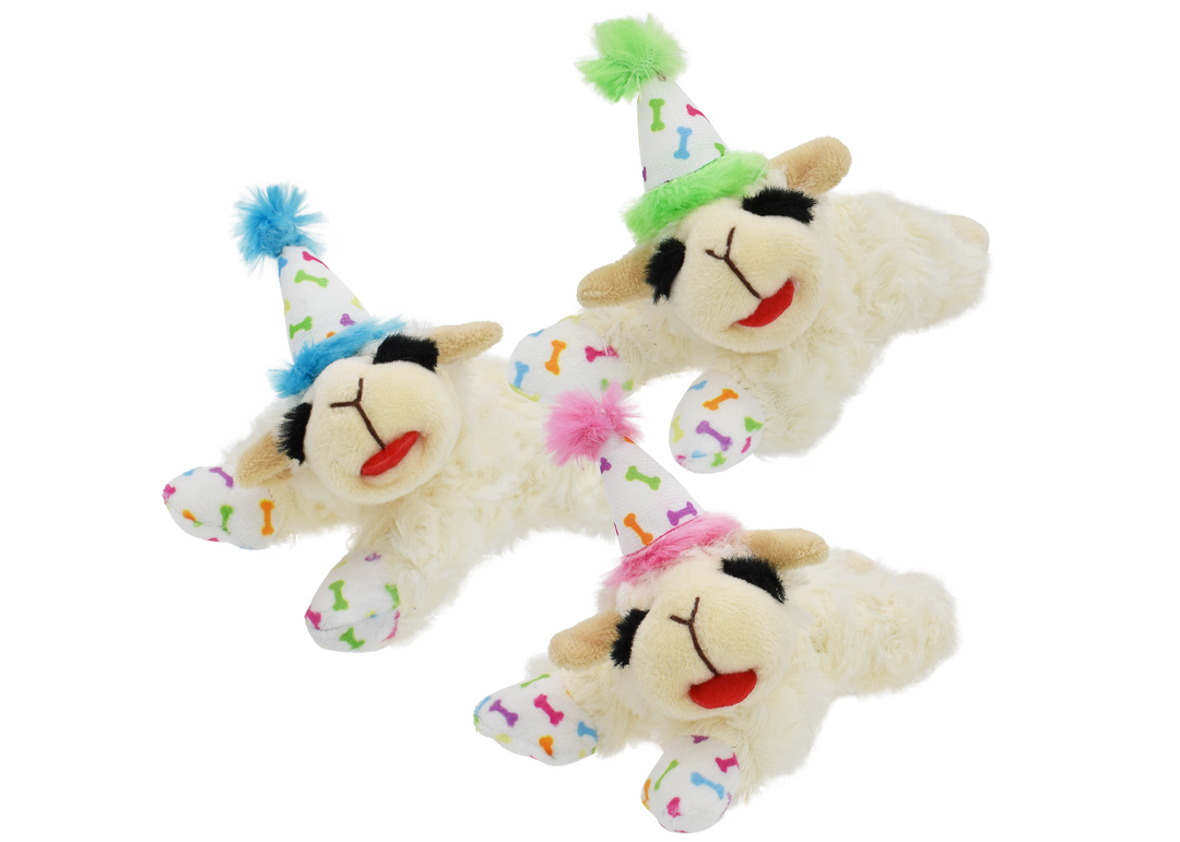 Lamb Chop 6" Birthday