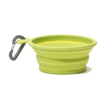 Green Collapsible Bowl