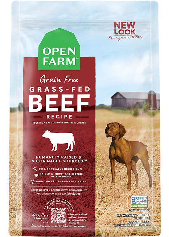 Grass-Fed Beef Grain Free Dog Food