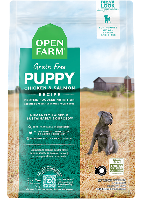 Puppy Recipe Grain Free Dog Food