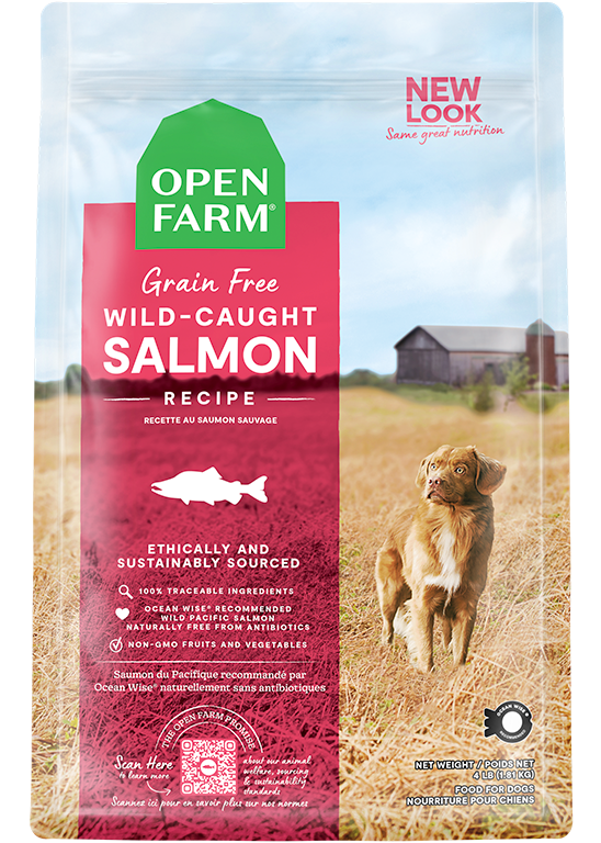 Wild-Caught Salmon Grain Free Dog Food