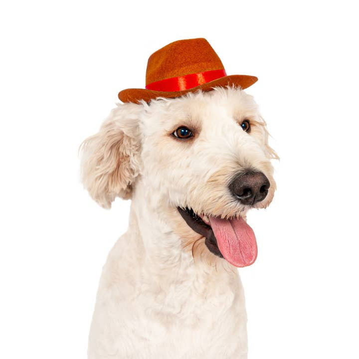 Midlee Cowboy Hat