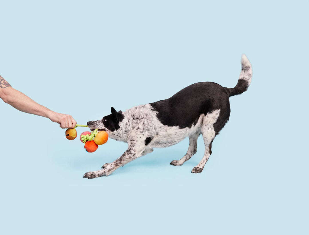 BARK-Heirloom Tomatoes