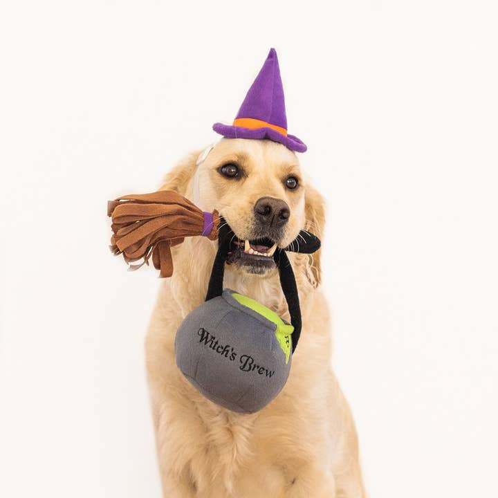 Witch Halloween Dog Costume & Toy Set