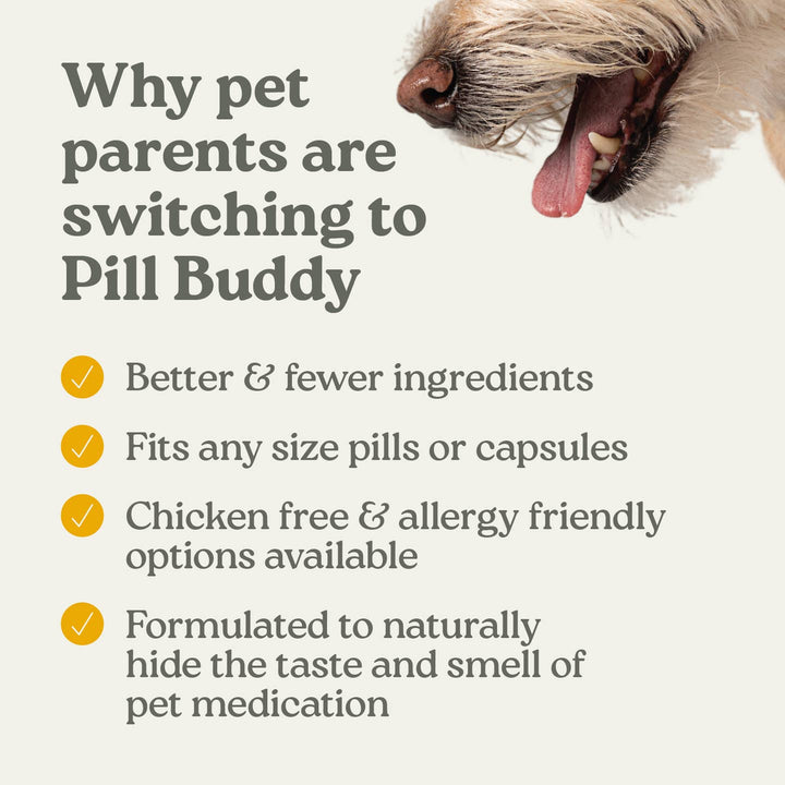 Pill Buddy Naturals-Peanut Butter & Honey-30ct