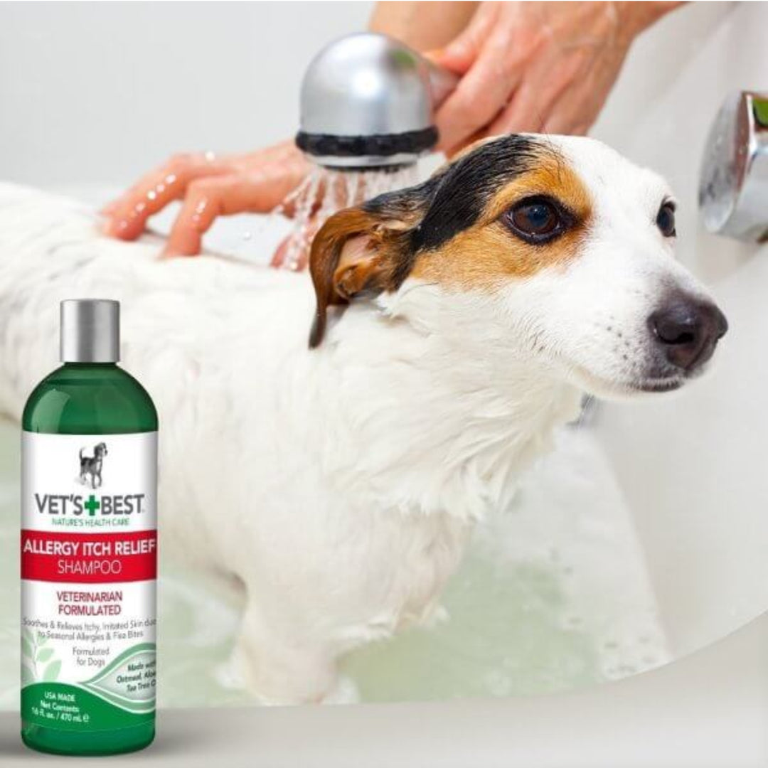 Vet's Best Dog Allergy Itch Relief Shampoo – Baxter Bailey Company