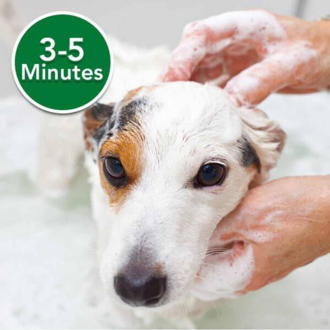 Vet's Best Dog Allergy Itch Relief Shampoo