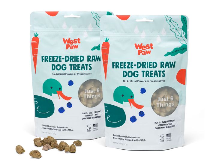 Duck With Superfood Freeze Dried Dog Treats