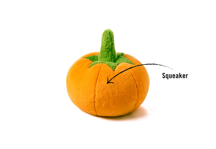 Garden Fresh-Pumpkin