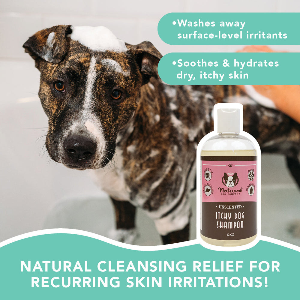 Itchy Dog Natural Shampoo-12oz