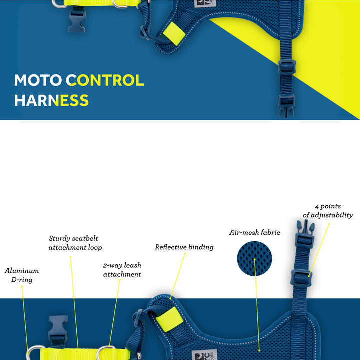 Moto Control Harness - Goji Berry/Burgundy