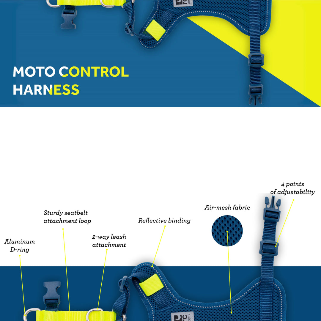 Moto Control Harness - Arctic Blue/Tennis