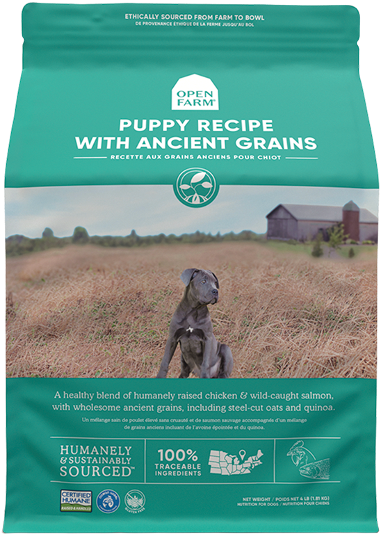 Ancient Grain High-Protein Puppy Food