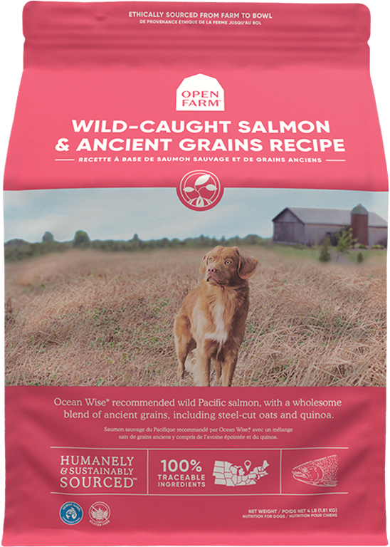 Ancient Grain Salmon Dog Food