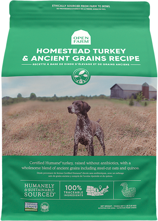 Ancient Grain Turkey Dog Food