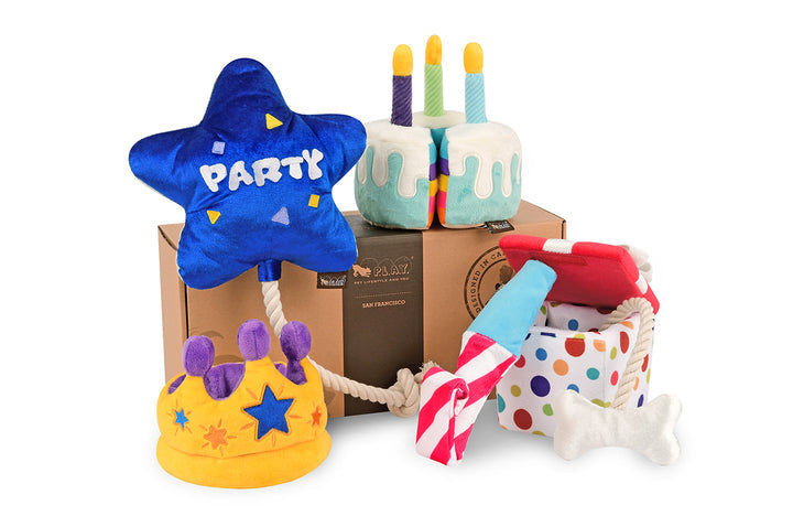 Party Time-MINI Party Present