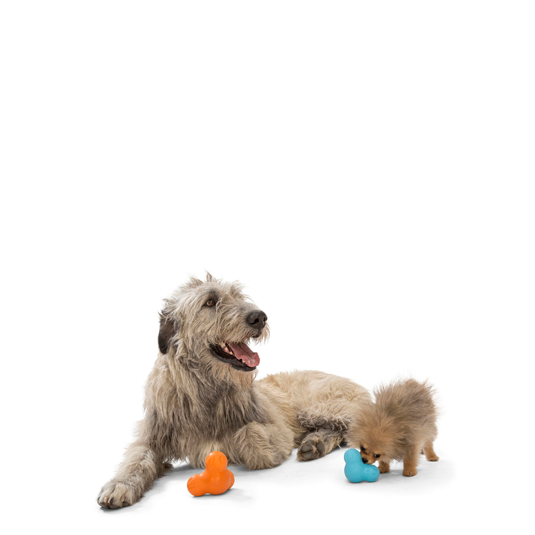 KONG Licks Dog Toy, Large  Woodlands Pet Food & Treats