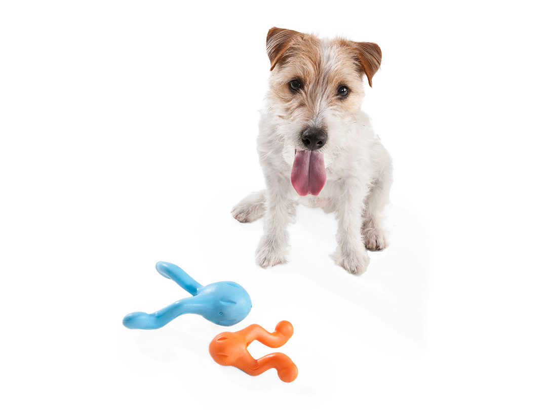 Tizzi sales dog toy